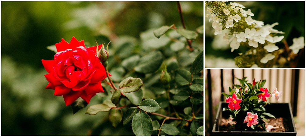 flowery branch wedding photographer at Juliette Chapel, wedding at Juliette Chapel, wedding venue in Dahlonega, Ga, hidden wooded wedding venue 