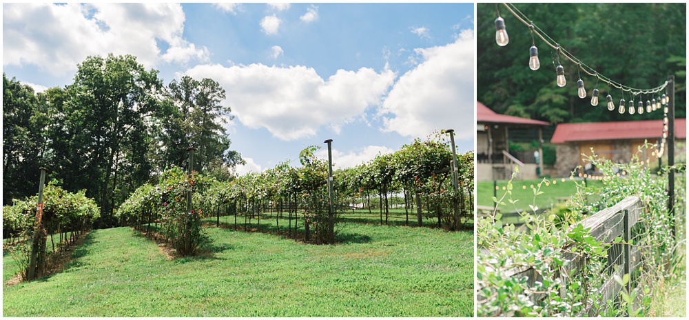 flowery branch wedding photographer photographs a bridal shower at a north Georgia winery 