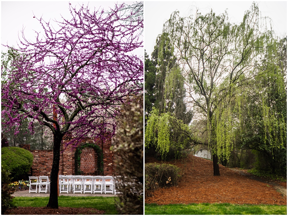 the carl house wedding venue in auburn georgia has a few trees outdoors for photography. one tree is a weeping willow and the other is a tree with pink blooms