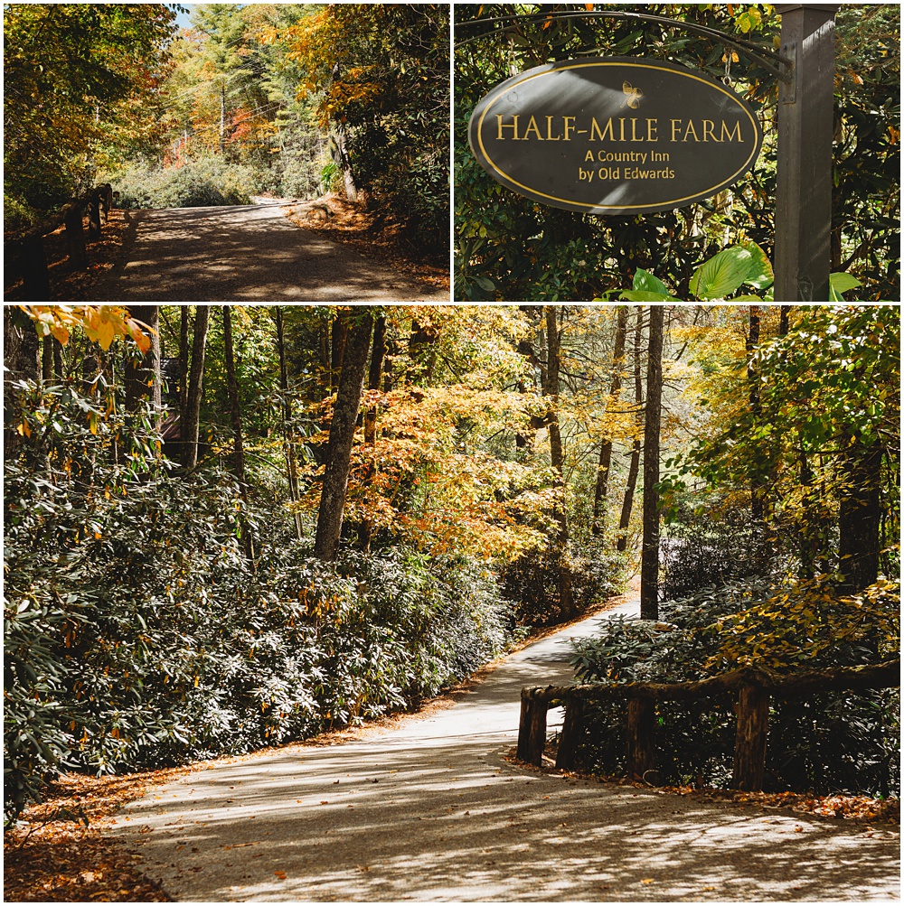 half mile farm in highlands north carolina driveway.photo from Paul Ashton Photography