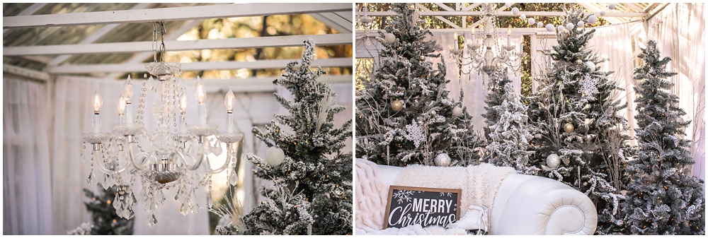 chandelier and frosted Christmas trees inside the enchanted greenhouse Christmas minis at Mayberry Acres in Canton Ga 