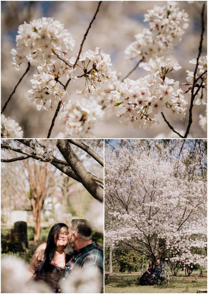 white blooms on a tree during an engagement session at Oakland Cemetery in Atlanta georgia. Goth bride 2025