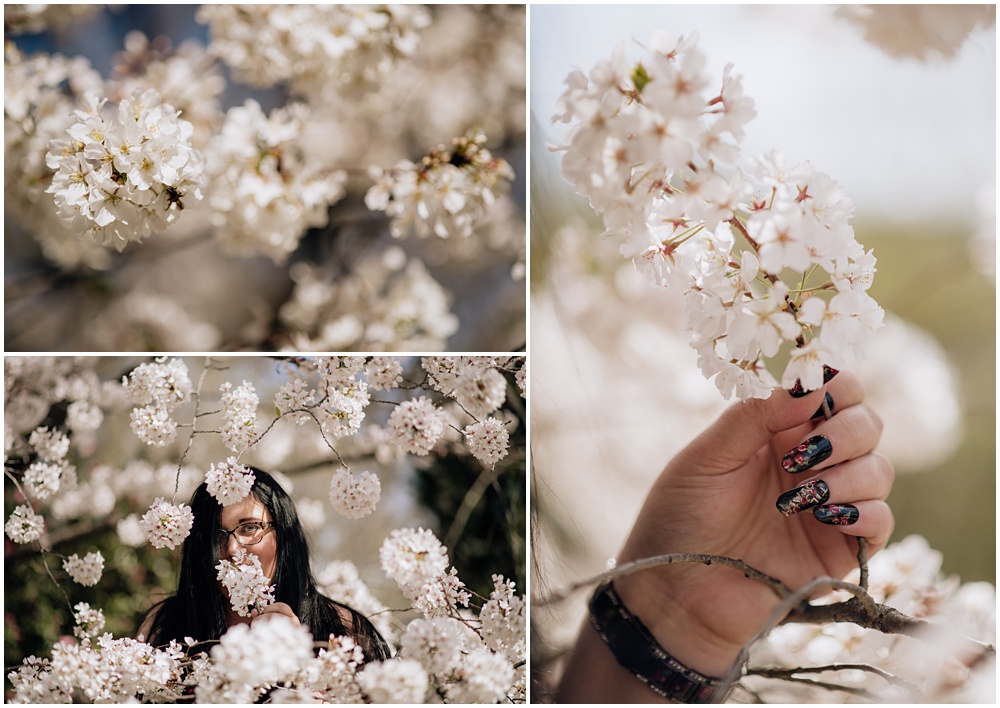 white blooms on a tree during an engagement session at Oakland Cemetery in Atlanta georgia. Goth bride 2025