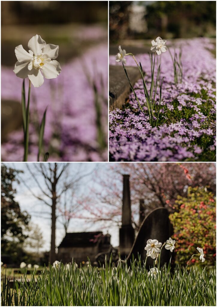 florals during an engagement session at Oakland Cemetery in Atlanta georgia. Goth bride 2025