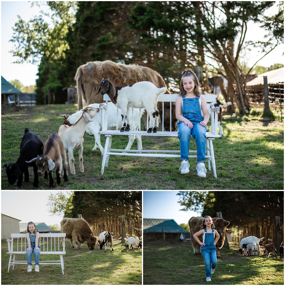 Flowery Branch photographer hosts mini session of little girl playing with baby goats. Highland cows in the background at Prospect Farms, Lawrenceville Ga